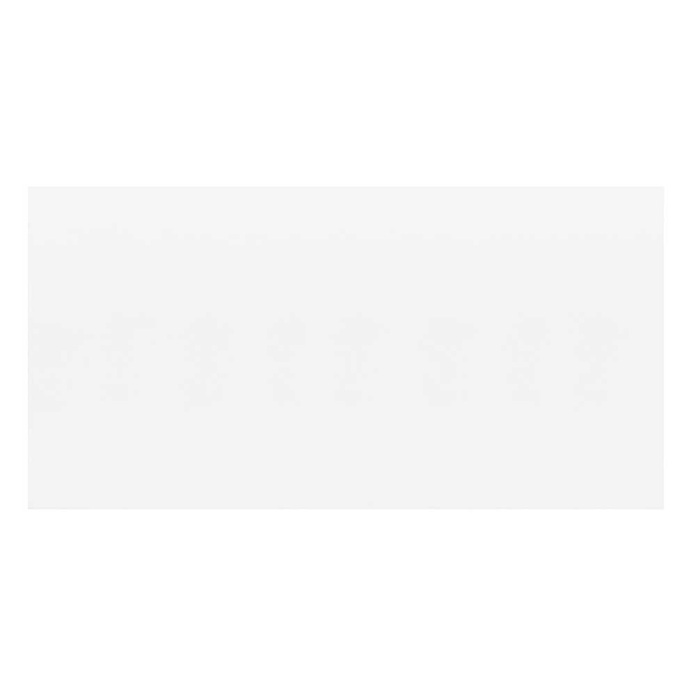 Cerámica Muro - White Frost Plus Acetinado 30x59 Rt