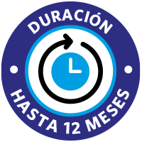 Duración Hasta 12 Meses